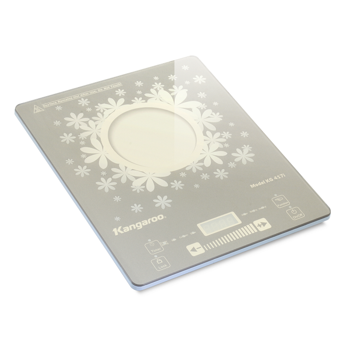 Bếp từ Kangaroo KG417I
