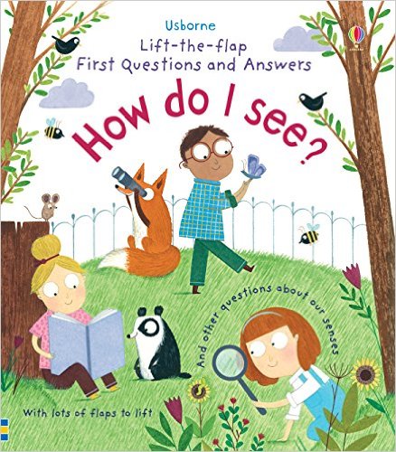 Sách thiếu nhi tiếng Anh - Usborne How do I see?