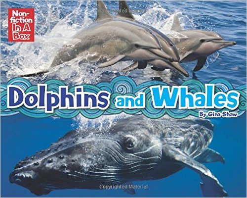 Dolphins and Whales In A Box