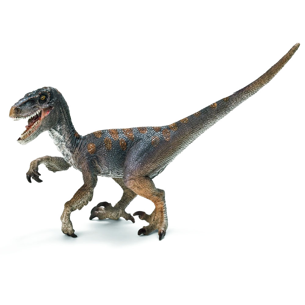 Khủng long ăn thịt Velociraptor Schleich 14524