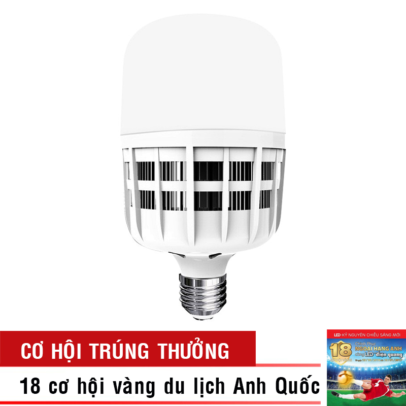 Đèn LED Bulb Công Suất Lớn Điện Quang ĐQ LEDBU09 20765 (20W Daylight, Nguồn Tích Hợp)