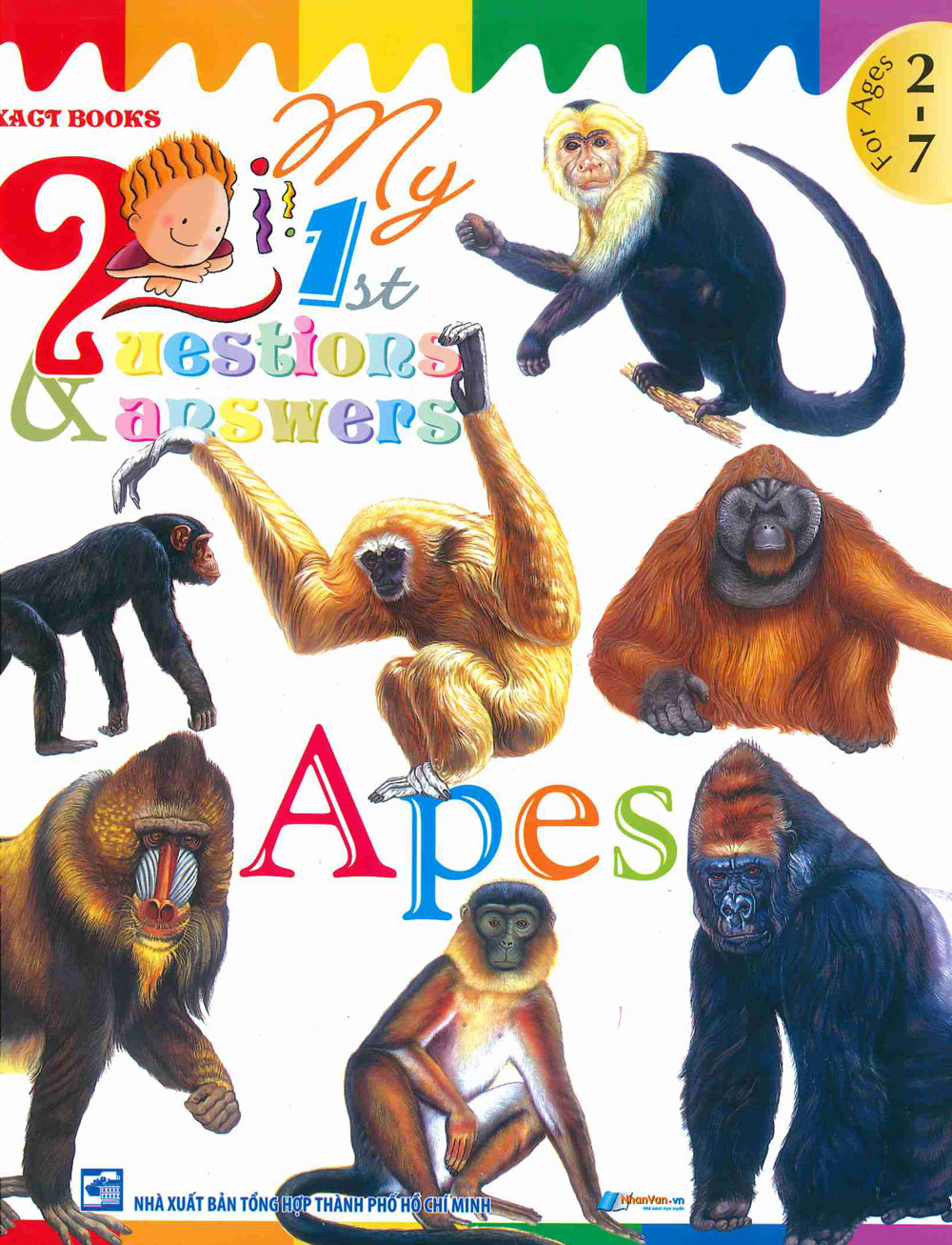My First Questions &amp; Answers - Apes