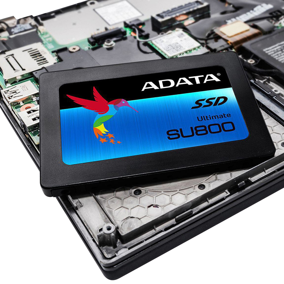 Ổ Cứng SSD ADATA ASU800 128GB - Hàng chính hãng