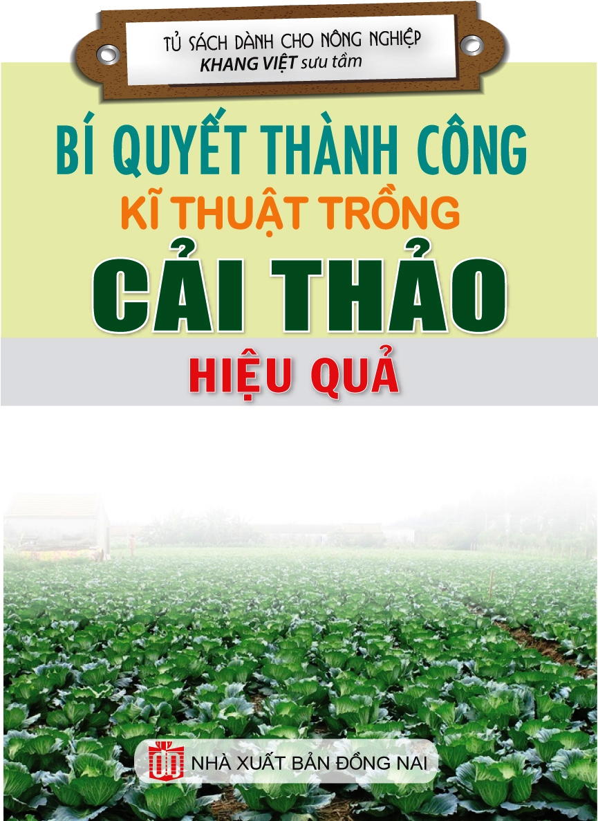 Bí Quyết Thành Công Kĩ Thuật Trồng Cải Thảo Hiệu Quả