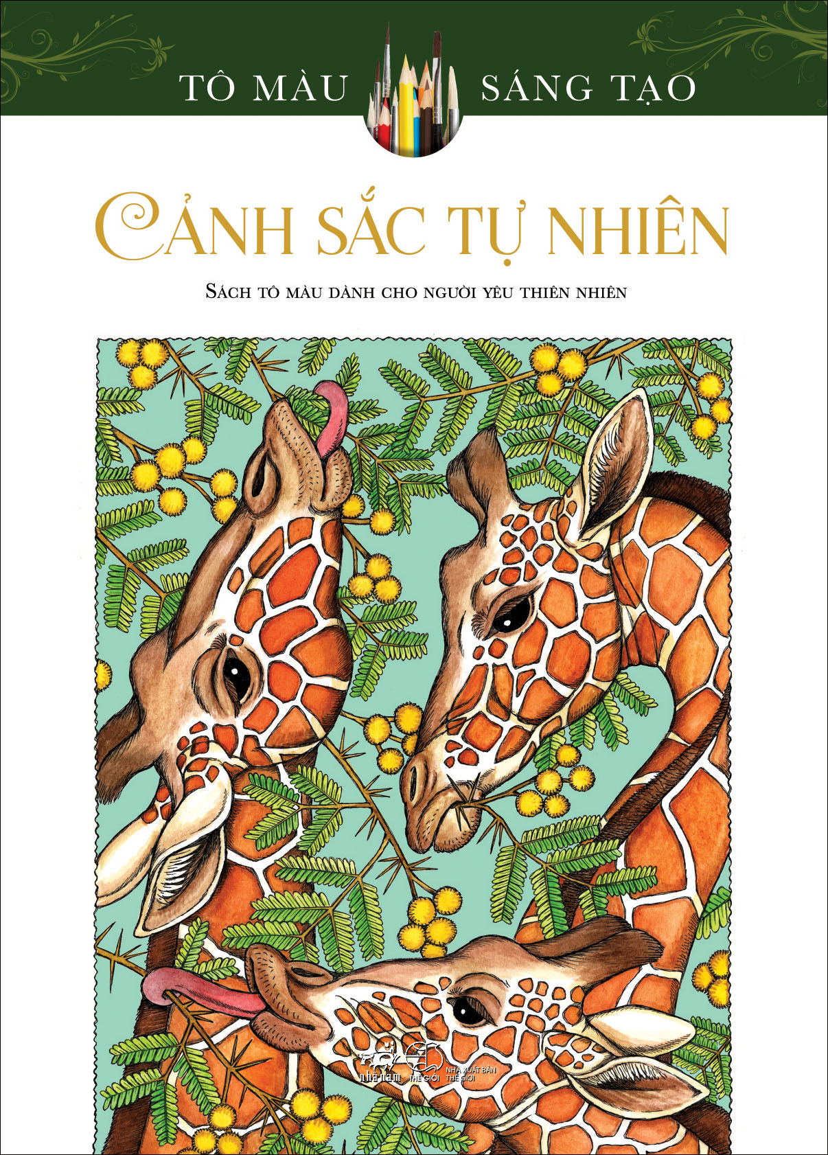 Mua Tô Màu Sáng Tạo - Cảnh Sắc Tự Nhiên Mua Tô Màu Sáng Tạo - Cảnh Sắc Tự Nhiên