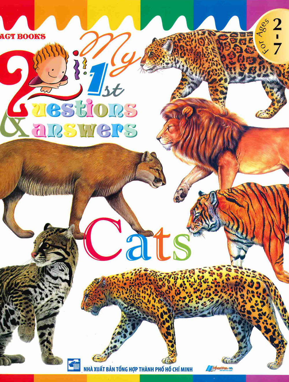 My First Questions &amp; Answers - Cats