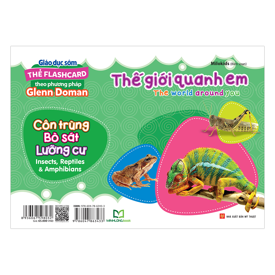 Thẻ Flashcard Theo Phương Pháp Glenn Doman - Thế Giới Quanh Em: Côn Trùng - Bò Sát - Lưỡng Cư