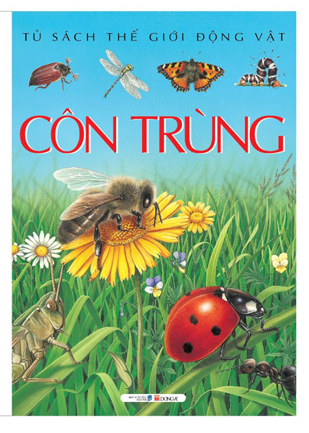 Côn Trùng (Tủ Sách Thế Giới Động Vật)
