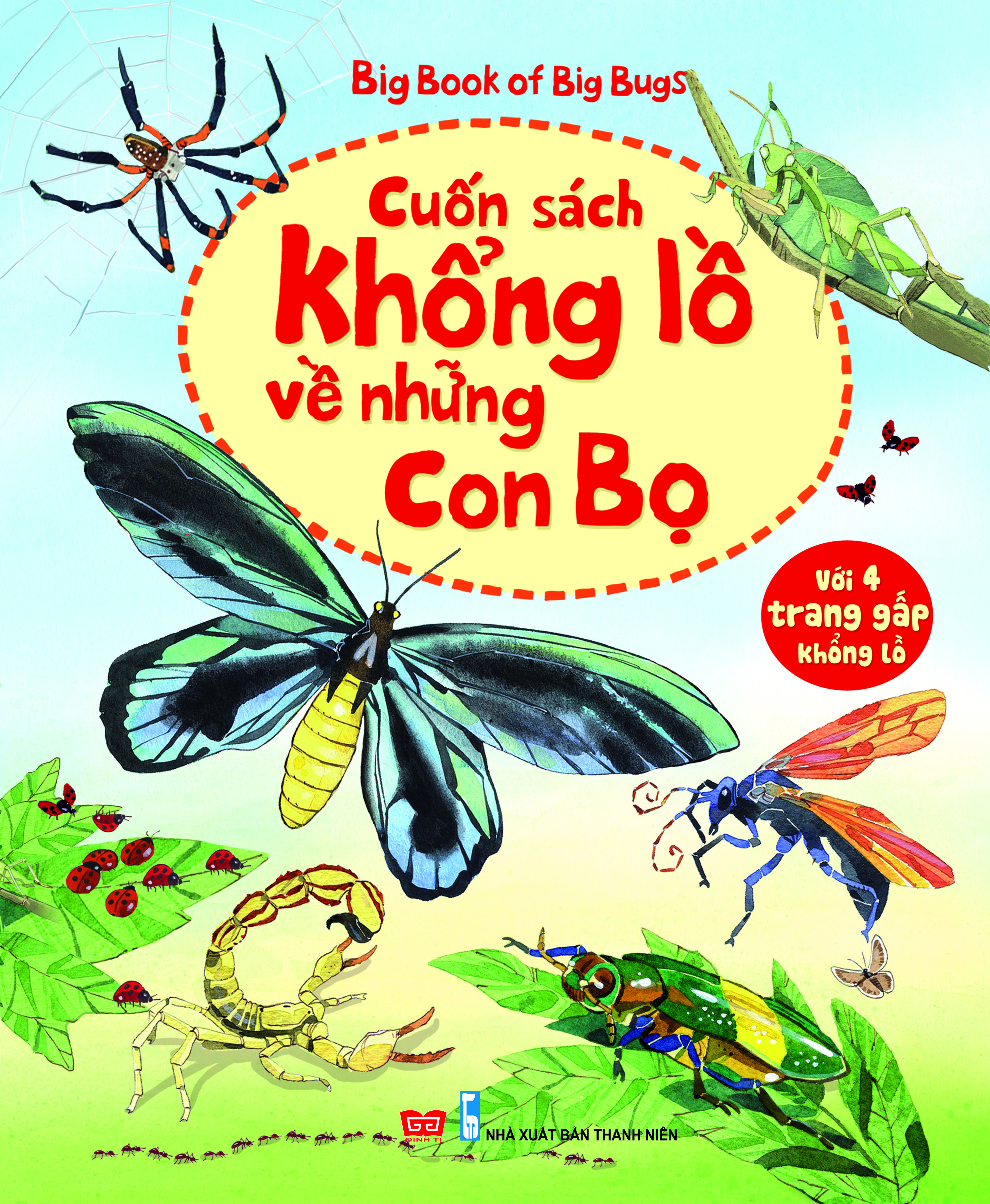 Big Book Of Big Bugs – Cuốn Sách Khổng Lồ Về Những Con Bọ