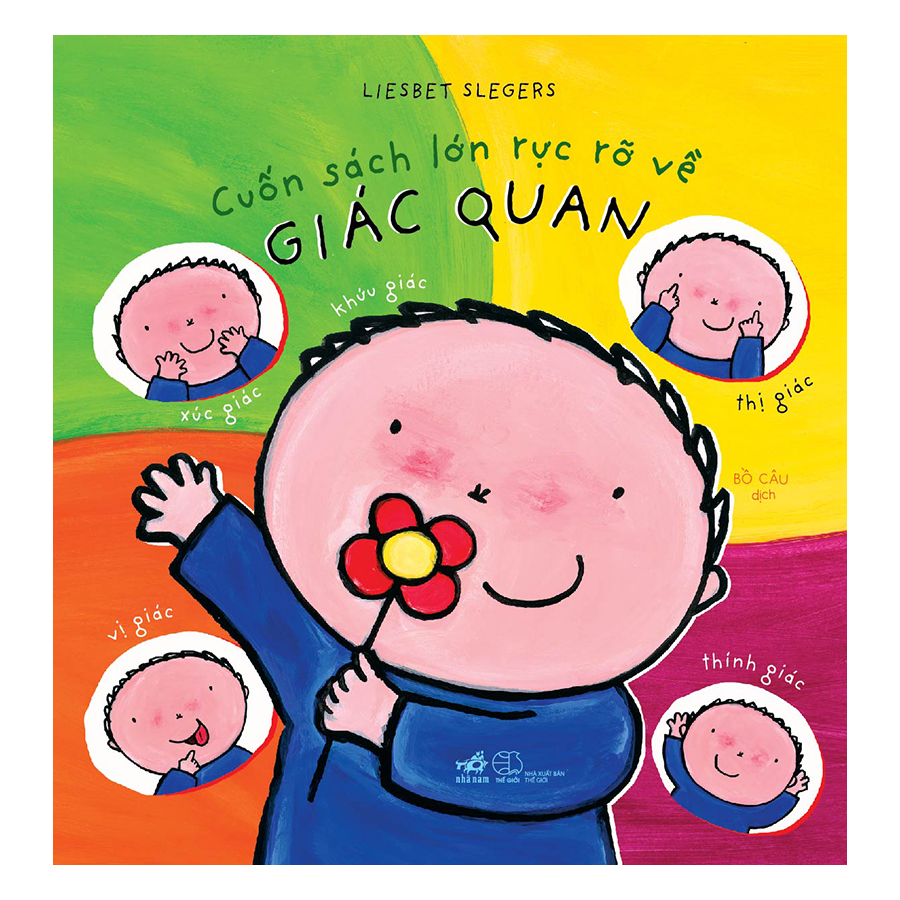 Cuốn Sách Lớn Rực Rỡ Về Giác Quan