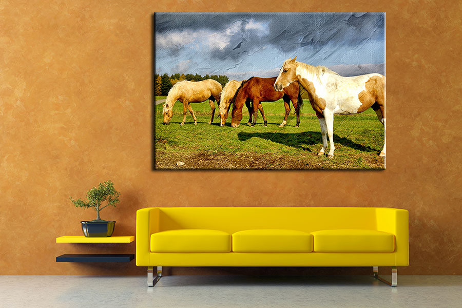 Tranh Treo Tường Canvas Suemall CV140816