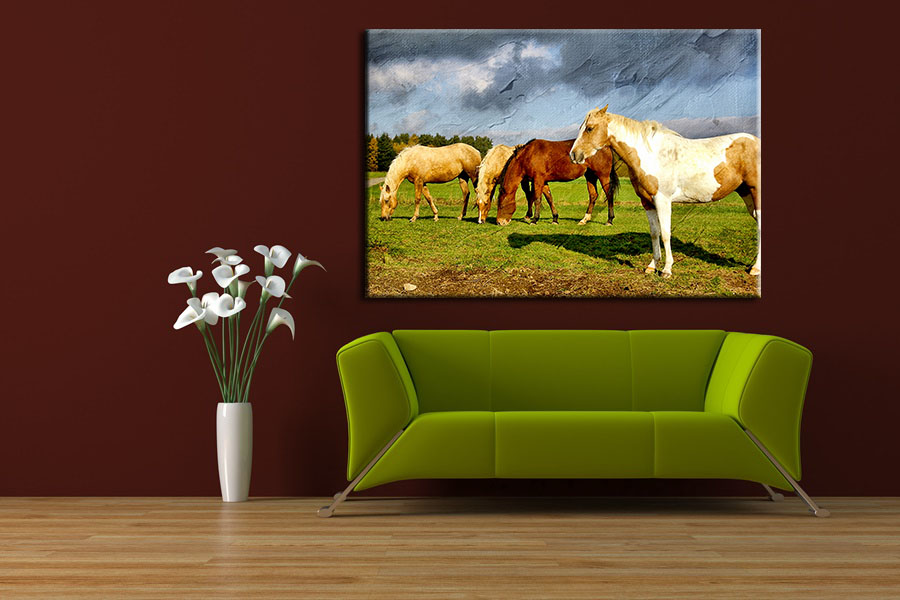 Tranh Treo Tường Canvas Suemall CV140816
