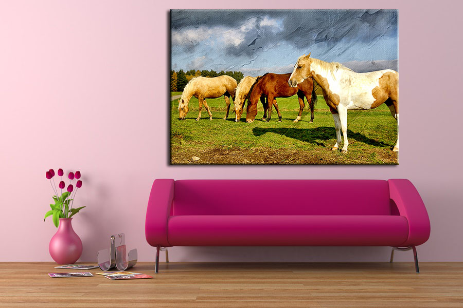 Tranh Treo Tường Canvas Suemall CV140816