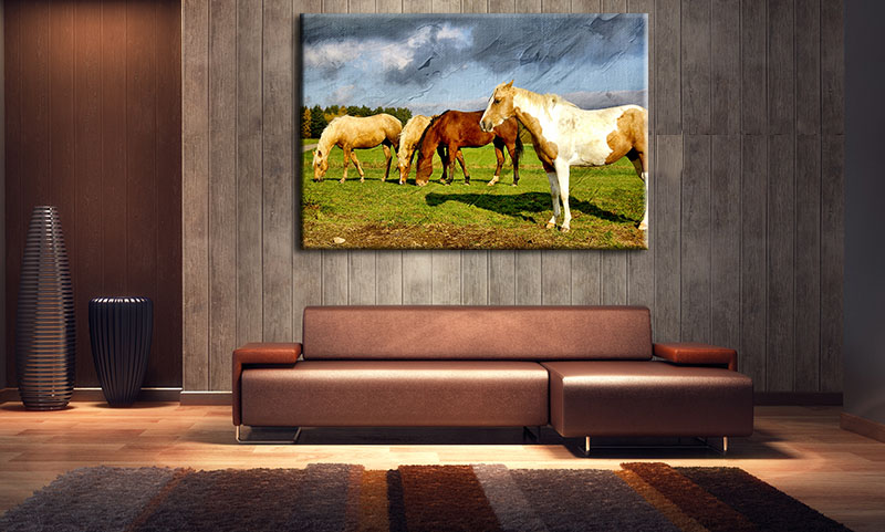 Tranh Treo Tường Canvas Suemall CV140816