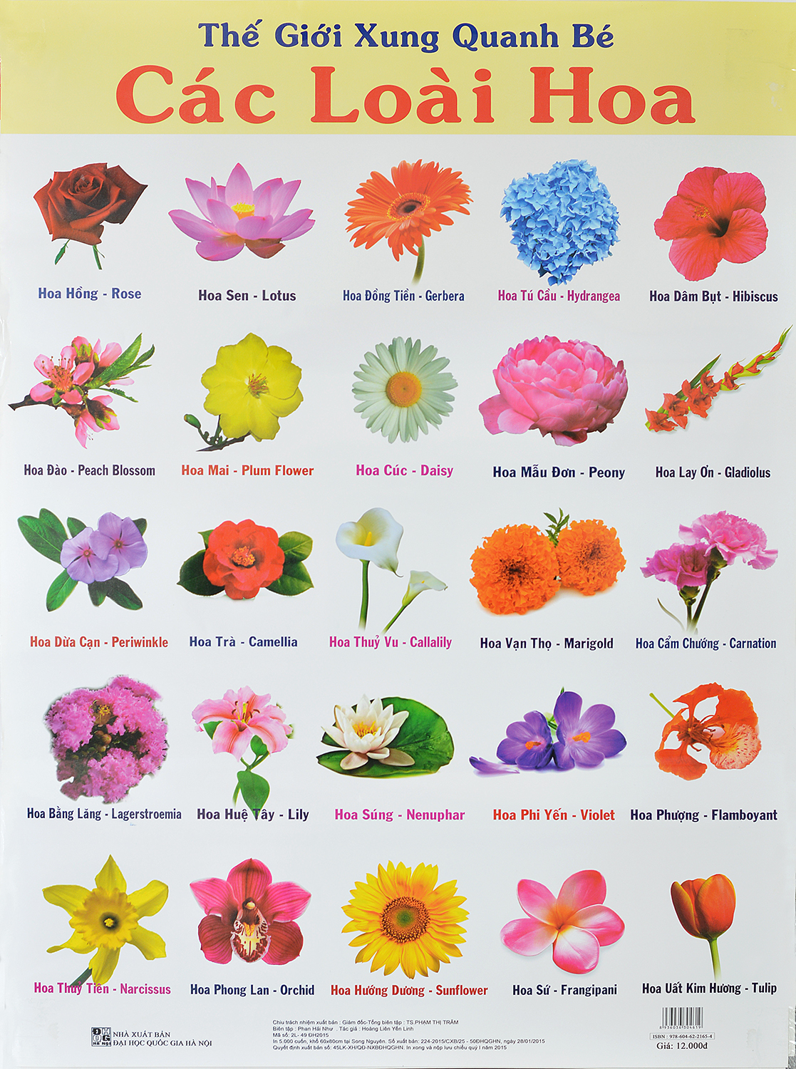 Hình ảnh những loài hoa đẹp trên thế giới