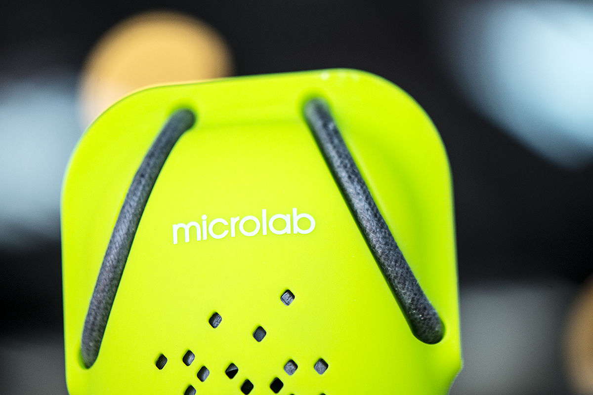 Loa Microlab D22
