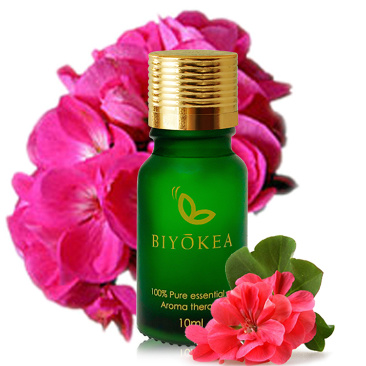 Tinh Dầu Phong Lữ Biyokea (10ml)