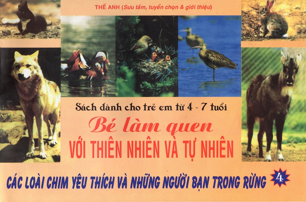 Bé Làm Quen Với Thiên Nhiên Và Tự Nhiên (Dành Cho Trẻ Em Từ 4 -7 Tuổi) - Tập 4