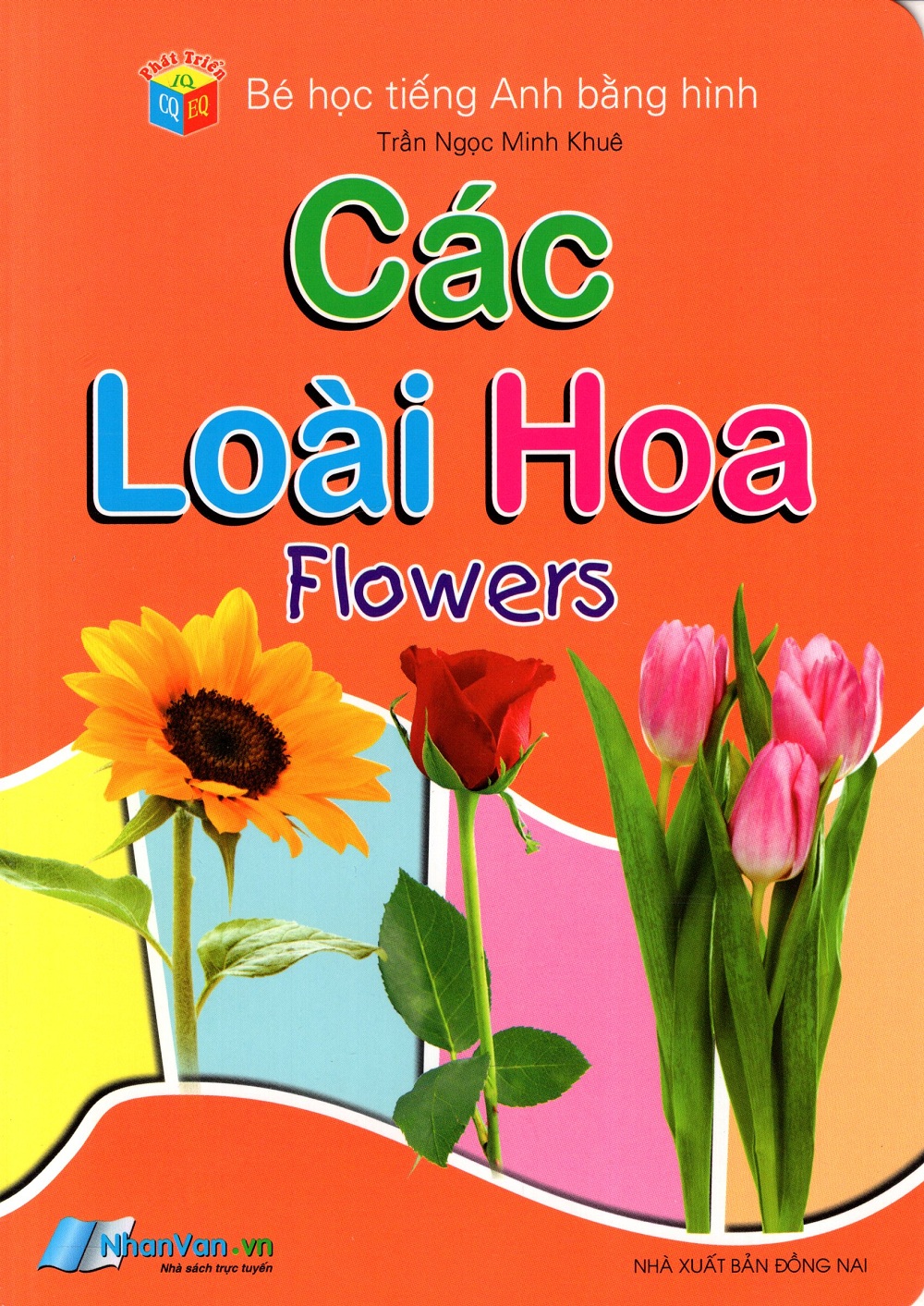 Bé Học Tiếng Anh Bằng Hình: Các Loài Hoa