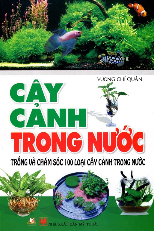 Cây Cảnh Trong Nước