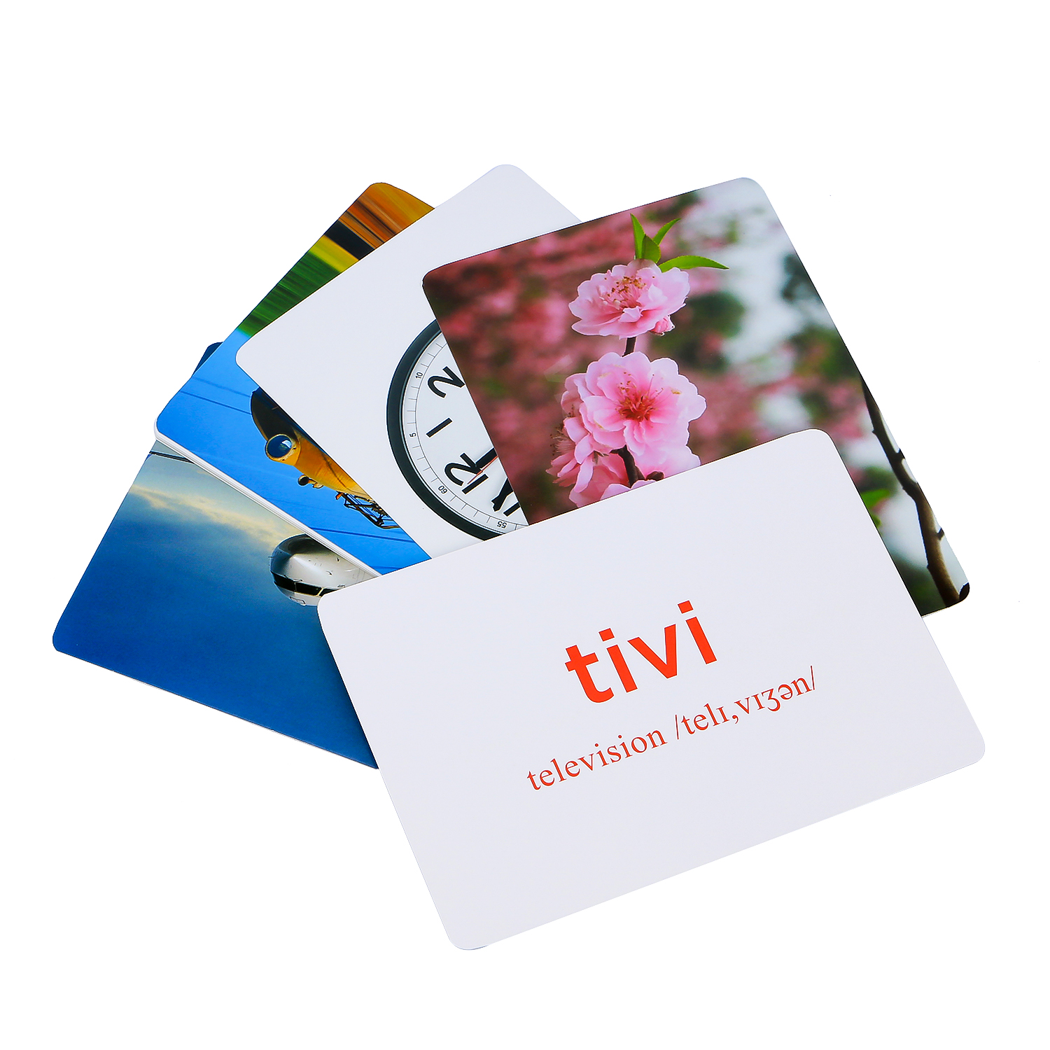 Flashcard Dạy Trẻ Theo Phương Pháp Glenn Doman - Thế Giới Xung Quanh