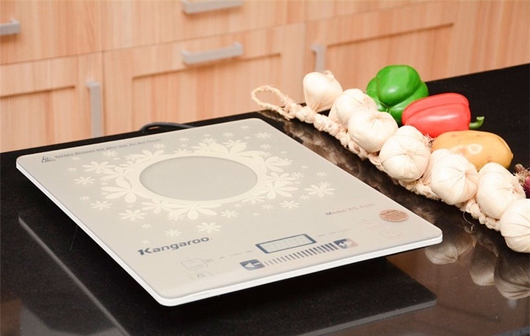 Bếp từ Kangaroo KG419I