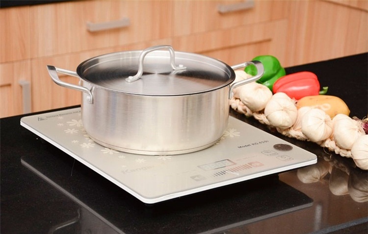 Bếp từ Kangaroo KG419I