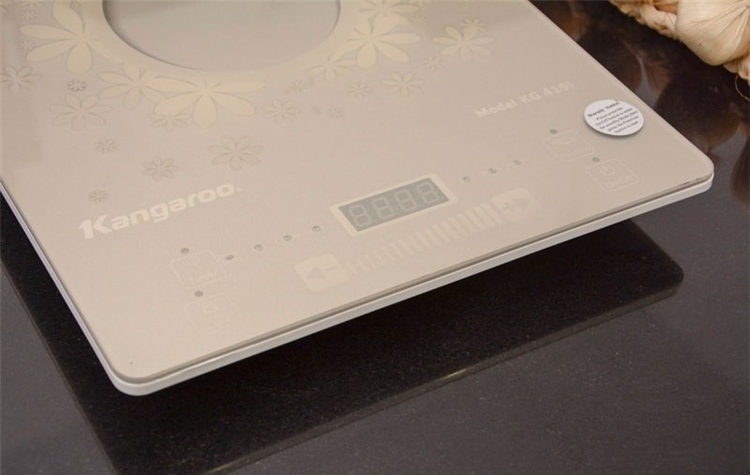 Bếp từ Kangaroo KG419I