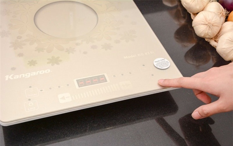 Bếp từ Kangaroo KG419I