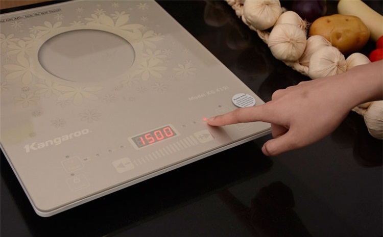 Bếp từ Kangaroo KG419I