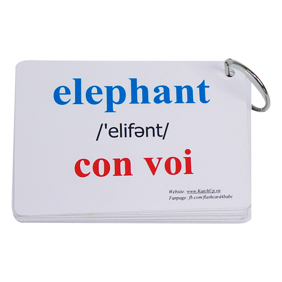 KatchUp Flashcard Tiếng Anh Cho Bé - Động Vật Hoang Dã - High Quality