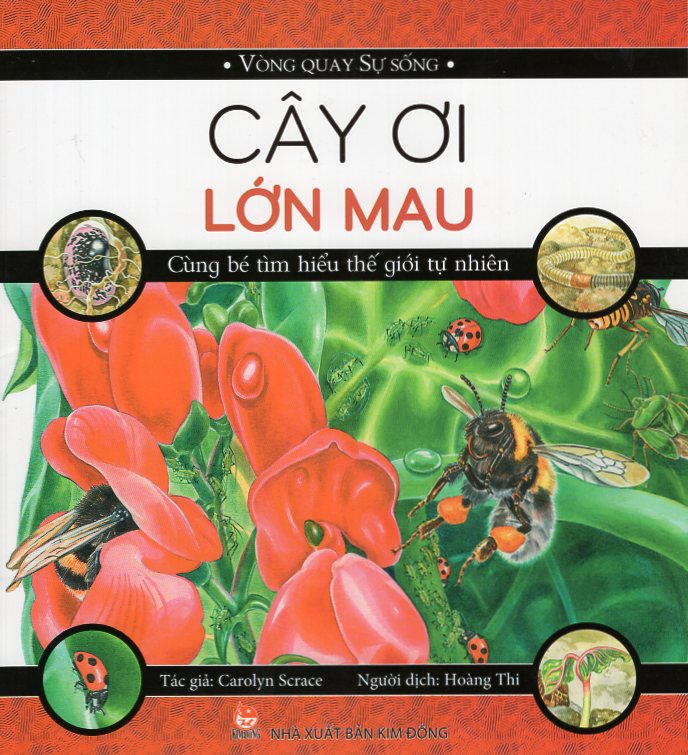 Cây Ơi Lớn Mau