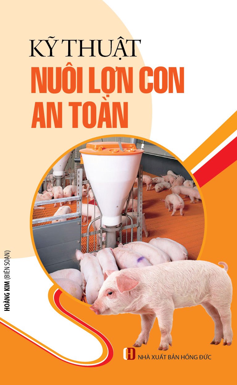 Kỹ Thuật Nuôi Lợn Con An Toàn