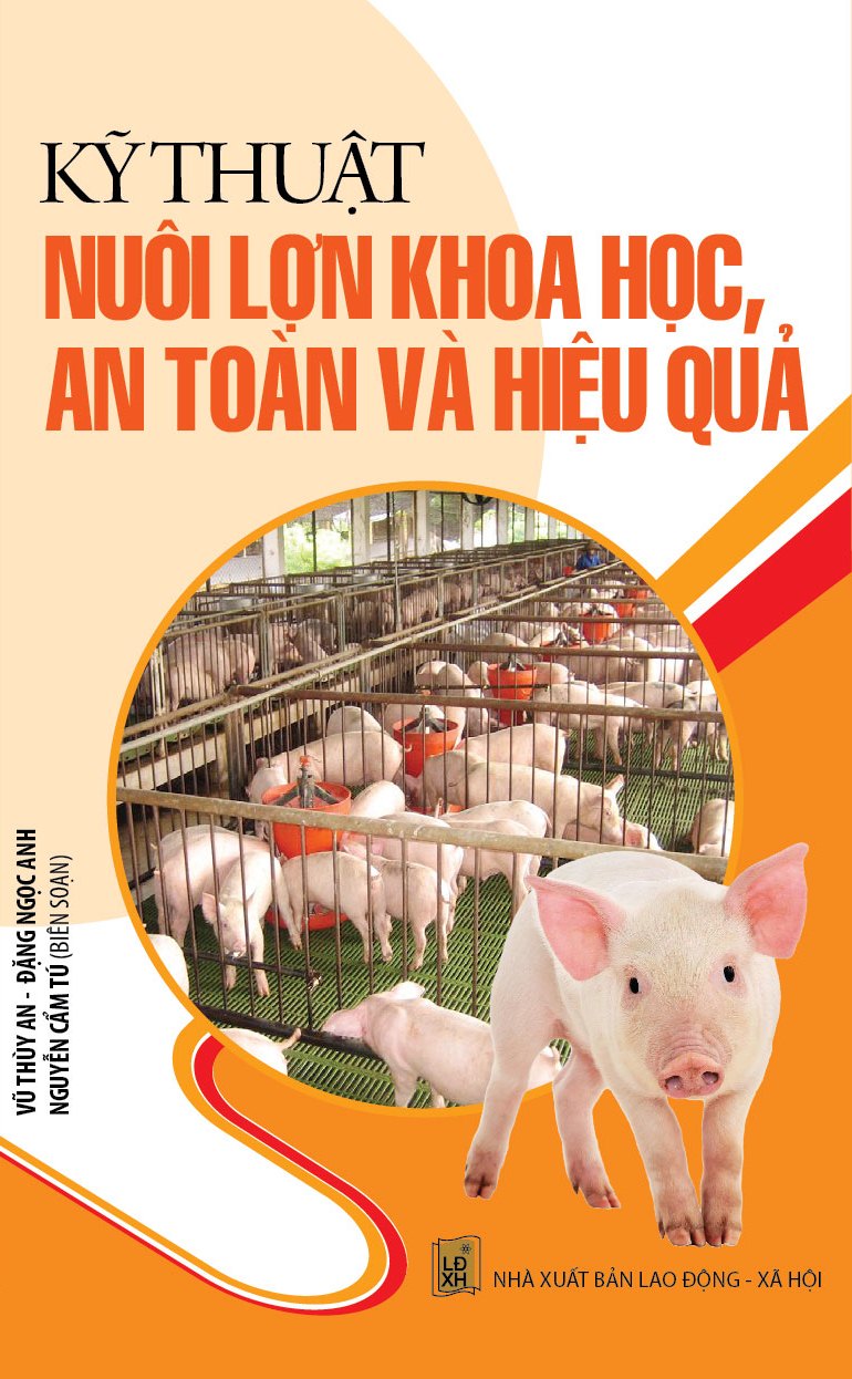 Kỹ Thuật Nuôi Lợn Khoa Học, An Toàn Và Hiệu Quả Cao