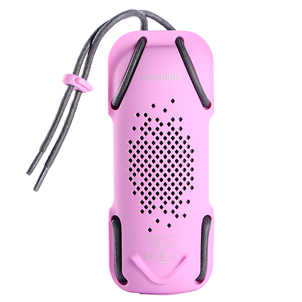 Loa Microlab D22