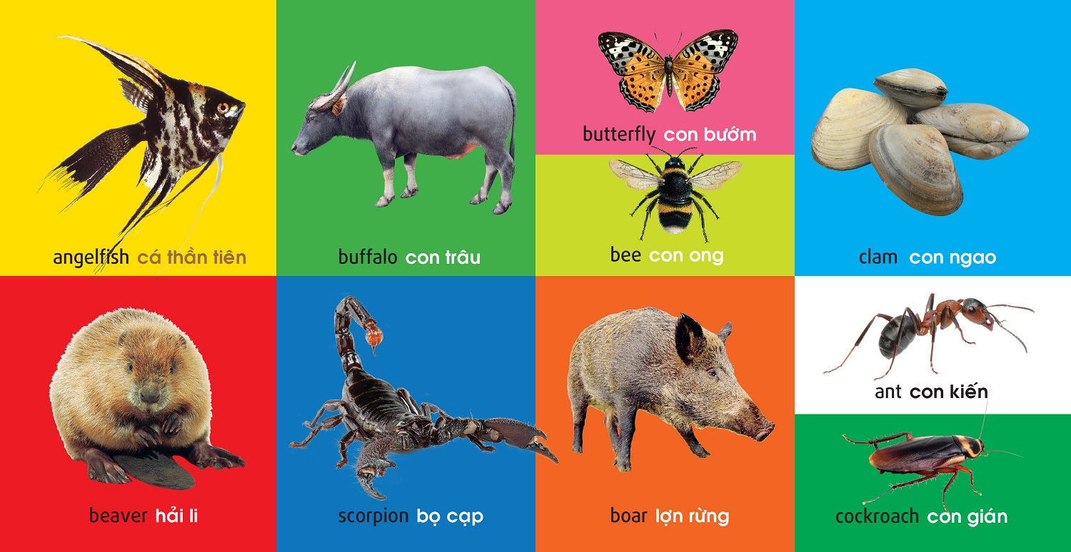 101 First Words - Animals (101 Từ Đầu Tiên - Động Vật)