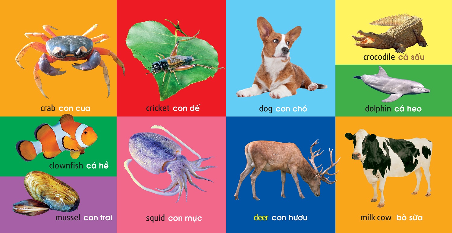 Sách 101 First Words - Animals (101 Từ Đầu Tiên - Động Vật)