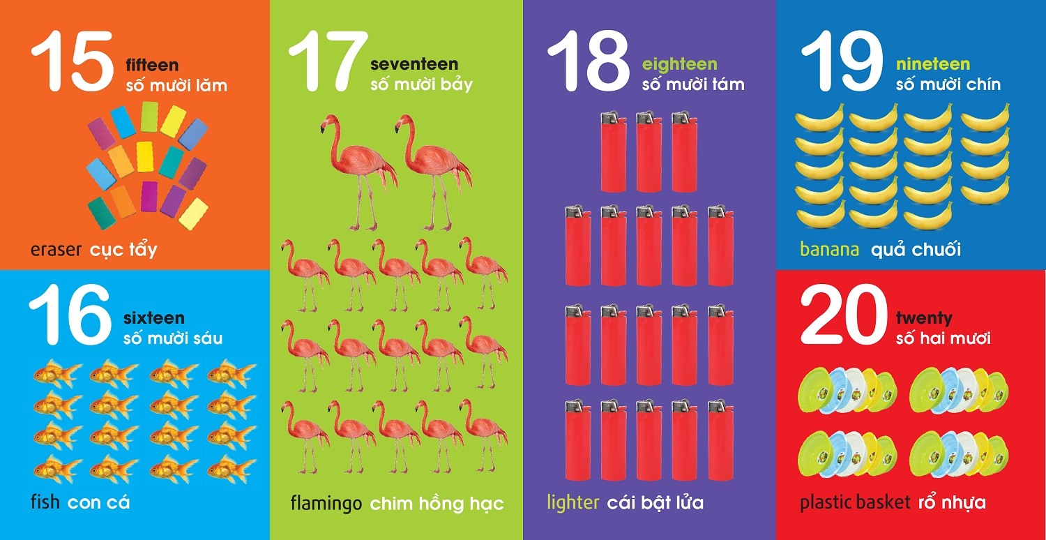 101 First Words: Numbers - Shapes - Colours (101 Từ Đầu Tiên: Chữ Số - Hình Dạng - Màu Sắc)