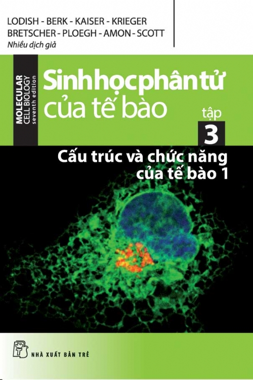 Sinh Học Phân Tử Của Tế Bào (Tập 3): Cấu Trúc Và Chức Năng Của Tế Bào