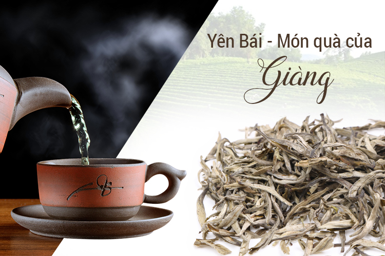 Trà Xanh Đại Hữu - Shan Tuyết Cổ Thụ
