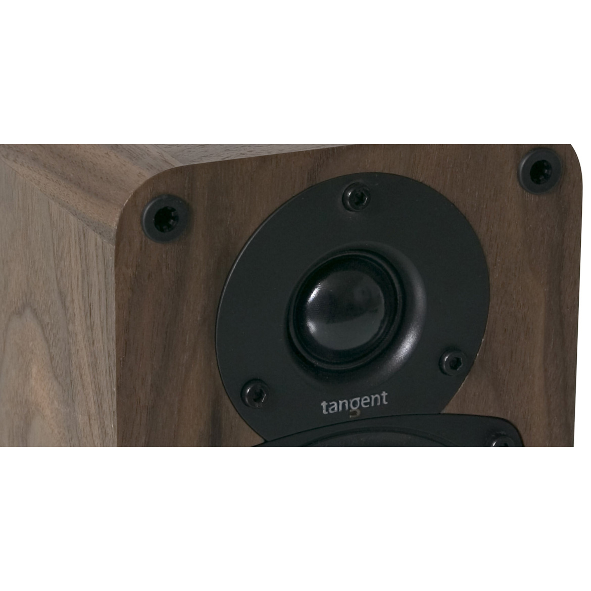 Loa Bookshelf Tangent Audio EVO E4 Walnut Hi-Fi 100W - Hàng Chính Hãng