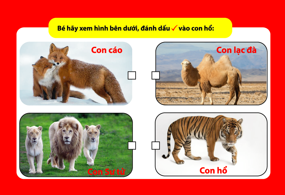 Thẻ Flashcard Thông Minh - Bé Nhận Biết Thế Giới Động Vật