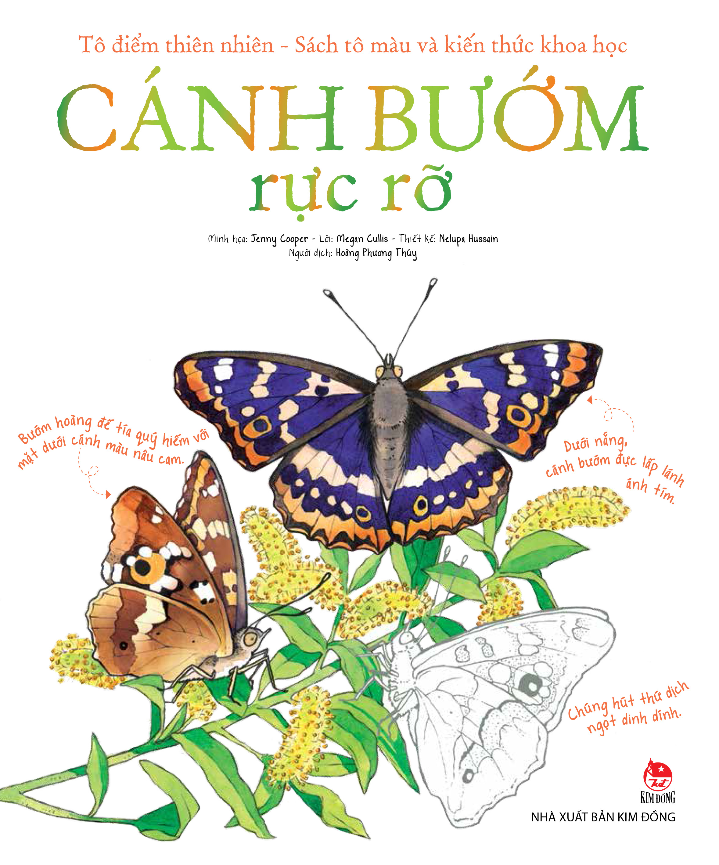 Tô Điểm Thiên Nhiên - Sách Tô Màu Và Kiến Thức Khoa Học - Cánh Bướm Rực Rỡ
