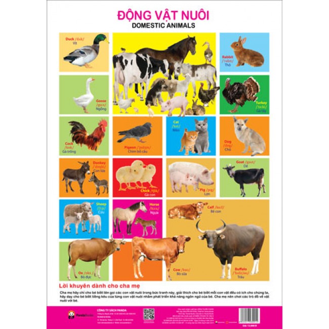 Mua Poster - Động Vật Nuôi | Tiki