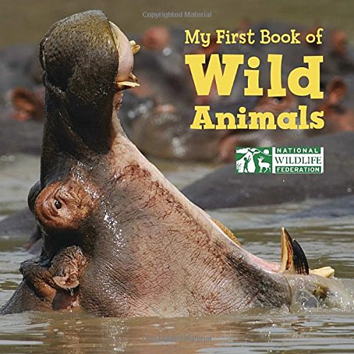 My First Book Of Wild Animals