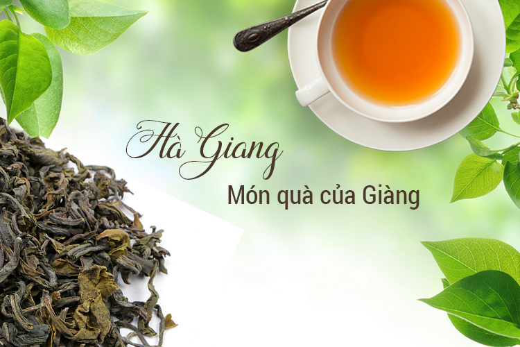 Trà Xanh Yên Minh - Shan Tuyết Cổ Thụ Tây Côn Lĩnh Hà Giang (100g)