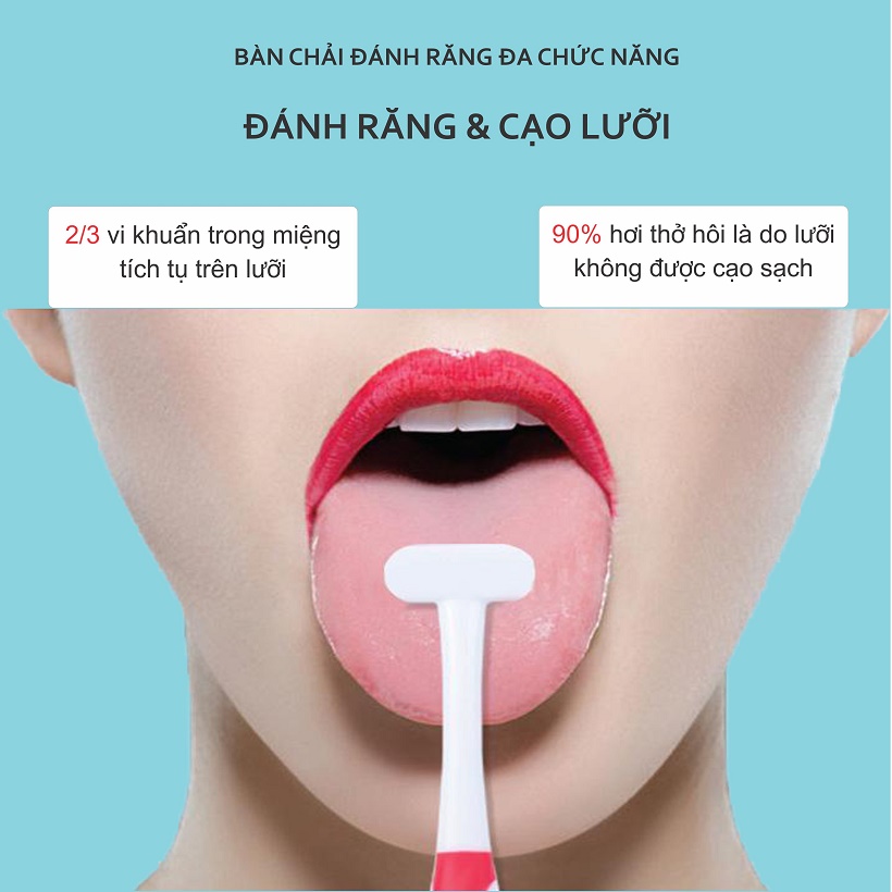 Set 2 Bàn chải đánh răng more-T