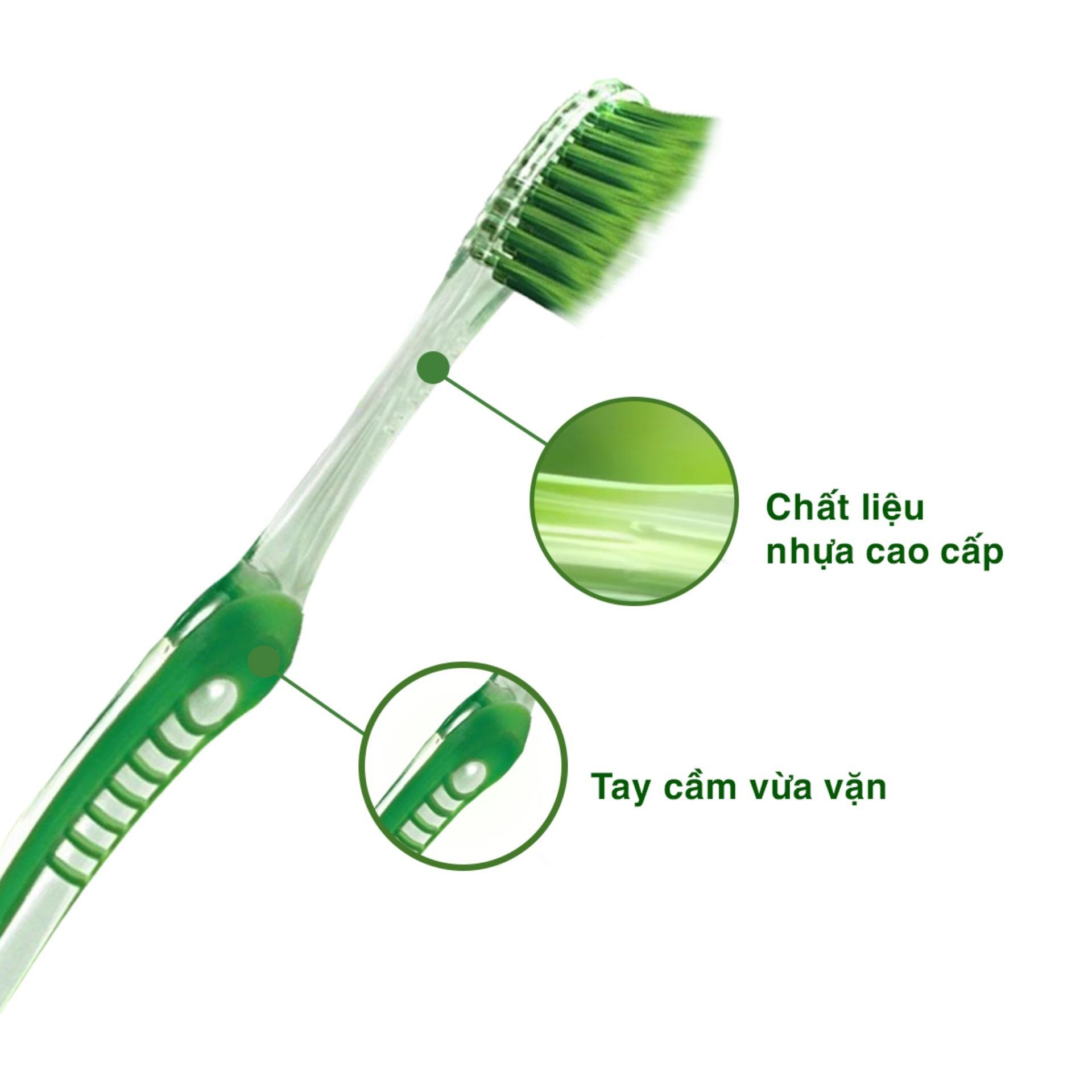 Bàn Chải ORAL-B Tinh Chất Trà Xanh Vỉ 5 Cây (Mua 3 tặng 2)