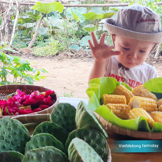 CHƯƠNG TRÌNH NGHỈ DƯỠNG VÀ TRẢI NGHIỆM TẠI VIETMEKONG FARMSTAY KÝ ỨC MIỀN QUÊ ĐỒNG THÁP MƯỜI