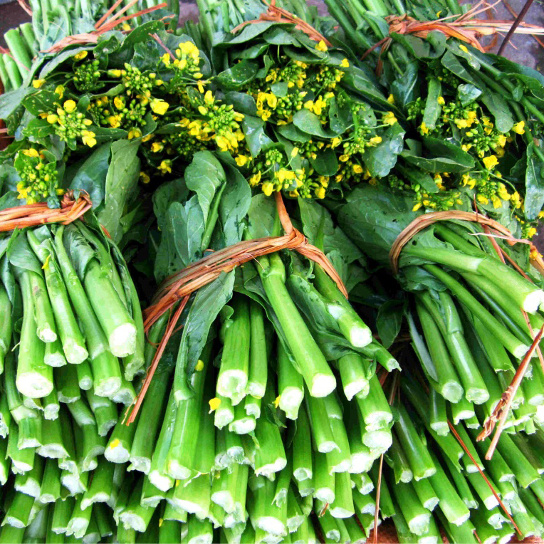 Hạt Giống Rau Cải Ngồng Cao Sản Dễ Trồng Chống Chịu Sâu Bệnh Tốt -
